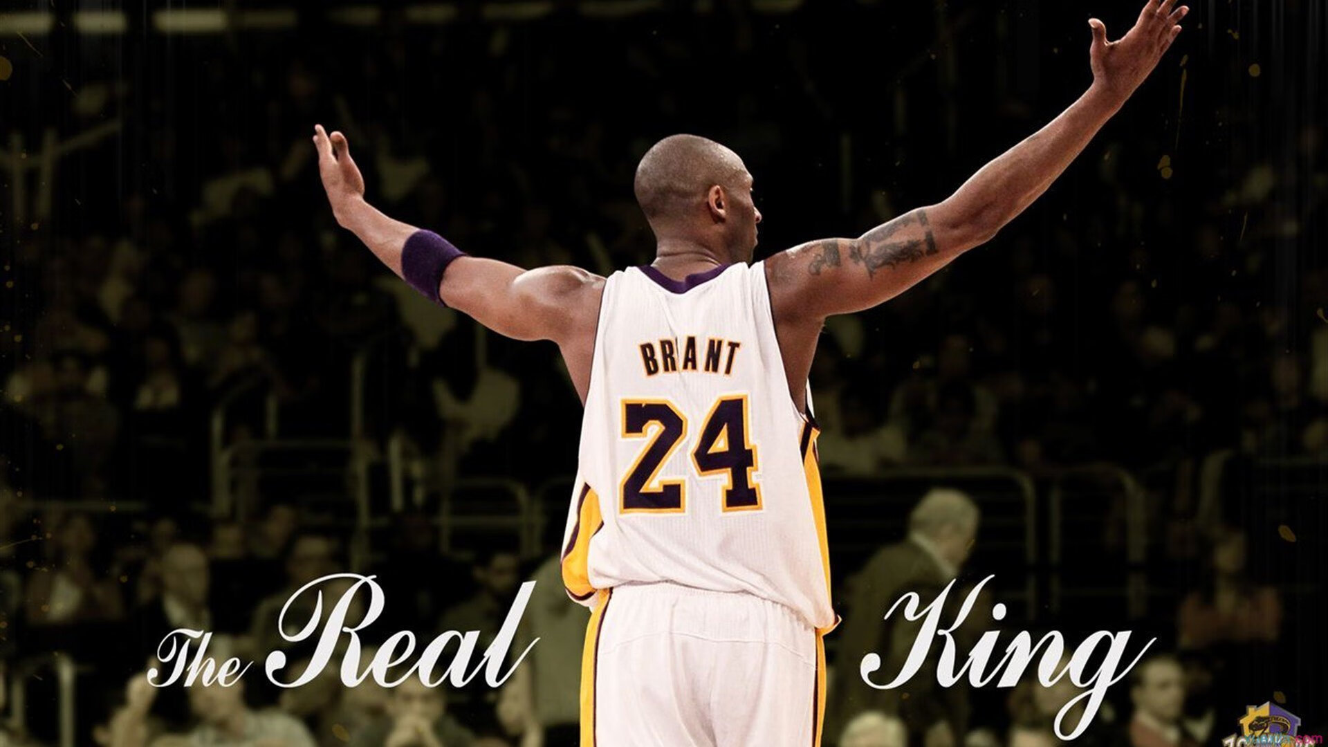 开云体育app-东方巨龙封锁绿军！马克西化身关键先生导演惊天逆袭